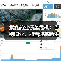 紫鑫药业债务危机:告别旧业,能否迎来新生?(图2) 紫鑫药业债务危机:告别旧业,能否迎来新生?(图2)