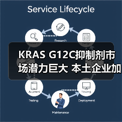 KRAS G12C抑制剂市场潜力巨大 本土企业加速布局新机遇(图3) KRAS G12C抑制剂市场潜力巨大 本土企业加速布局新机遇(图3)