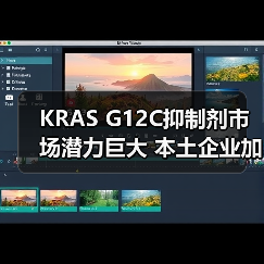 KRAS G12C抑制剂市场潜力巨大 本土企业加速布局新机遇(图4) KRAS G12C抑制剂市场潜力巨大 本土企业加速布局新机遇(图4)