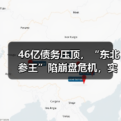 46亿债务压顶,“东北参王”陷崩盘危机,实控人被查暴露财务造假真相(图4) 46亿债务压顶,“东北参王”陷崩盘危机,实控人被查暴露财务造假真相(图4)