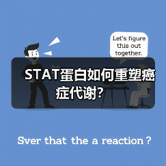 STAT蛋白如何重塑癌症代谢?(图2) STAT蛋白如何重塑癌症代谢?(图2)