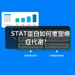 STAT蛋白如何重塑癌症代谢?(图1) STAT蛋白如何重塑癌症代谢?(图1)