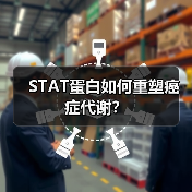 STAT蛋白如何重塑癌症代谢?(图4) STAT蛋白如何重塑癌症代谢?(图4)