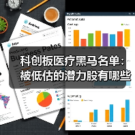 科创板医疗黑马名单:被低估的潜力股有哪些?(图3) 科创板医疗黑马名单:被低估的潜力股有哪些?(图3)