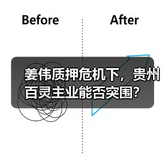 姜伟质押危机下，贵州百灵主业能否突围？（图1）