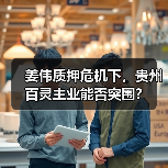 姜伟质押危机下，贵州百灵主业能否突围？（图3）