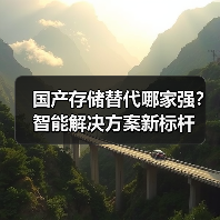 国产存储替代哪家强？智能解决方案新标杆（图3）