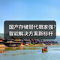 国产存储替代哪家强？智能解决方案新标杆（图2）