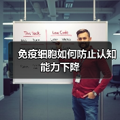 免疫细胞如何防止认知能力下降（图1）