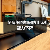 免疫细胞如何防止认知能力下降（图4）