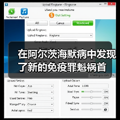 在阿尔茨海默病中发现了新的免疫罪魁祸首(图1) 在阿尔茨海默病中发现了新的免疫罪魁祸首(图1)