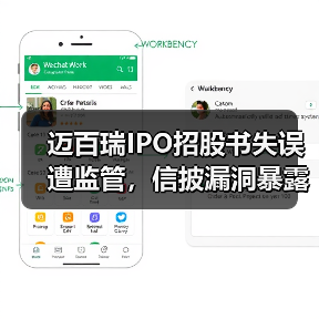 迈百瑞IPO招股书失误遭监管，信披漏洞暴露（图1）