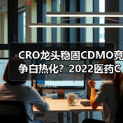 CRO龙头稳固CDMO竞争白热化?2022医药CXO行业深度解析(图2) CRO龙头稳固CDMO竞争白热化?2022医药CXO行业深度解析(图2)