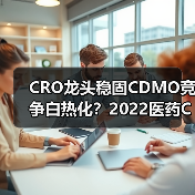CRO龙头稳固CDMO竞争白热化?2022医药CXO行业深度解析(图1) CRO龙头稳固CDMO竞争白热化?2022医药CXO行业深度解析(图1)