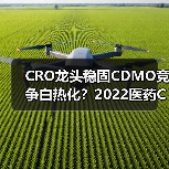 CRO龙头稳固CDMO竞争白热化?2022医药CXO行业深度解析(图3) CRO龙头稳固CDMO竞争白热化?2022医药CXO行业深度解析(图3)