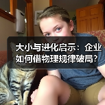 大小与进化启示：企业如何借物理规律破局？（图1）