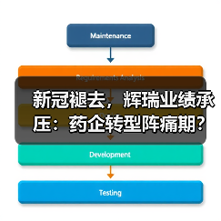 新冠褪去,辉瑞业绩承压:药企转型阵痛期?(图3) 新冠褪去,辉瑞业绩承压:药企转型阵痛期?(图3)