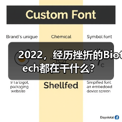2022，经历挫折的Biotech都在干什么？（图4）