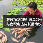 芯片短缺加剧 瑞昱如何与台积电达成长期协议？（图2）