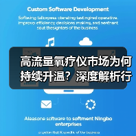 高流量氧疗仪市场为何持续升温?深度解析行业现状与前景(图4) 高流量氧疗仪市场为何持续升温?深度解析行业现状与前景(图4)
