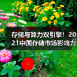存储与算力双引擎!2021中国存储市场影响力榜单揭晓(图2) 存储与算力双引擎!2021中国存储市场影响力榜单揭晓(图2)