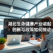 湖北生命健康产业崛起:创新与政策如何推动高质量发展?(图1) 湖北生命健康产业崛起:创新与政策如何推动高质量发展?(图1)
