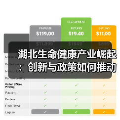 湖北生命健康产业崛起:创新与政策如何推动高质量发展?(图4) 湖北生命健康产业崛起:创新与政策如何推动高质量发展?(图4)