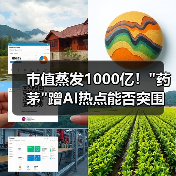 市值蒸发1000亿! 市值蒸发1000亿!
