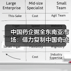中国药企掘金东南亚市场:借力复制中国奇迹?(图3) 中国药企掘金东南亚市场:借力复制中国奇迹?(图3)