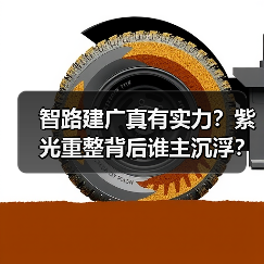 智路建广真有实力?紫光重整背后谁主沉浮?(图3) 智路建广真有实力?紫光重整背后谁主沉浮?(图3)