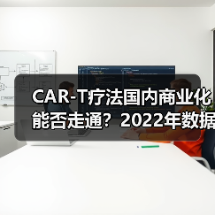 CAR-T疗法国内商业化能否走通?2022年数据揭示挑战与突破点(图1) CAR-T疗法国内商业化能否走通?2022年数据揭示挑战与突破点(图1)