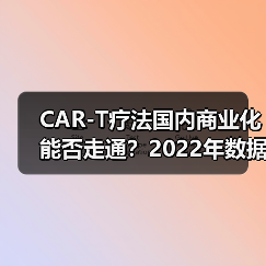 CAR-T疗法国内商业化能否走通?2022年数据揭示挑战与突破点(图4) CAR-T疗法国内商业化能否走通?2022年数据揭示挑战与突破点(图4)