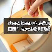 武田砍掉基因疗法背后原因?成大生物利润缩水20%真相(图4) 武田砍掉基因疗法背后原因?成大生物利润缩水20%真相(图4)
