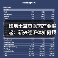 印尼土耳其医药产业崛起:新兴经济体如何领跑全球?(图1) 印尼土耳其医药产业崛起:新兴经济体如何领跑全球?(图1)