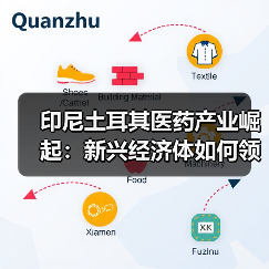印尼土耳其医药产业崛起:新兴经济体如何领跑全球?(图3) 印尼土耳其医药产业崛起:新兴经济体如何领跑全球?(图3)