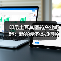 印尼土耳其医药产业崛起:新兴经济体如何领跑全球?(图4) 印尼土耳其医药产业崛起:新兴经济体如何领跑全球?(图4)