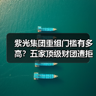 紫光集团重组门槛有多高？五家顶级财团遭拒真相（图4）
