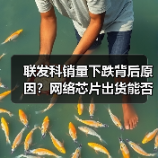 联发科销量下跌背后原因？网络芯片出货能否逆转局面？（图1）