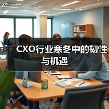 CXO行业寒冬中的韧性与机遇(图1) CXO行业寒冬中的韧性与机遇(图1)