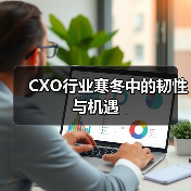 CXO行业寒冬中的韧性与机遇(图4) CXO行业寒冬中的韧性与机遇(图4)
