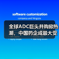 全球ADC巨头并购掀热潮，中国药企成最大受益者（图4）