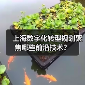 上海数字化转型规划聚焦哪些前沿技术？（图1）