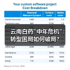 云南白药 云南白药