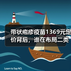 带状疱疹疫苗1369元定价背后,谁在布局二类疫苗市场?(图1) 带状疱疹疫苗1369元定价背后,谁在布局二类疫苗市场?(图1)