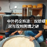 中外药企殊途：双雄崛起与双熊困境之谜（图3）