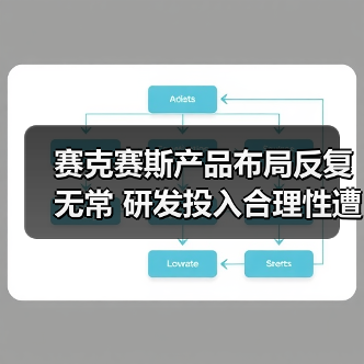 赛克赛斯产品布局反复无常 研发投入合理性遭质疑(图2) 赛克赛斯产品布局反复无常 研发投入合理性遭质疑(图2)