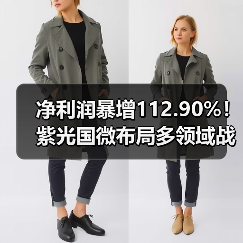 净利润暴增112.90%！紫光国微布局多领域战略升级（图1）
