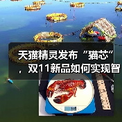 天猫精灵发布“猫芯”，双11新品如何实现智能化突破？（图4）