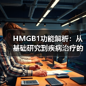 HMGB1功能解析:从基础研究到疾病治疗的关键进展(图2) HMGB1功能解析:从基础研究到疾病治疗的关键进展(图2)