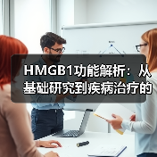HMGB1功能解析:从基础研究到疾病治疗的关键进展(图4) HMGB1功能解析:从基础研究到疾病治疗的关键进展(图4)